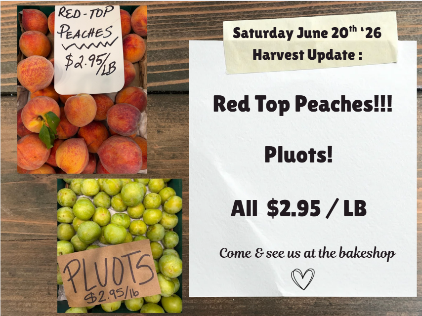 Harvest Update June pic